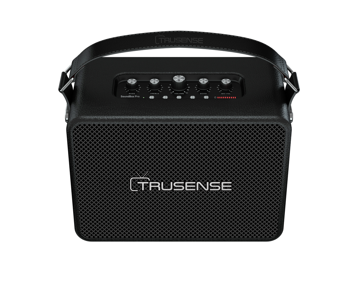 TruSense Sound Box Pro leather handle detail